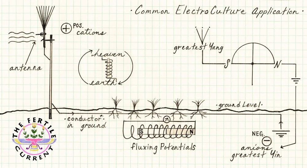 Diagram of a common electroculture field installation, showing an antenna collecting positive cations from the atmosphere, conducting current through the soil via buried conductors to plant roots, and a fluxing-potentials coil at ground level, balanced against a north-south grounded rod carrying the negative anion charge.